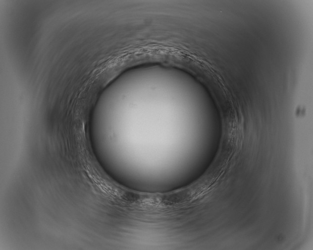 X0000113281489200909211027