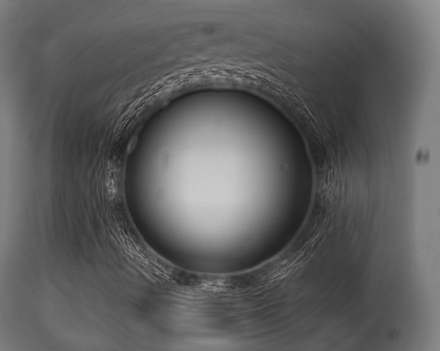 X0000113281490200909211027