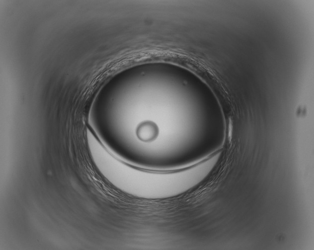 X0000113281492200909211027