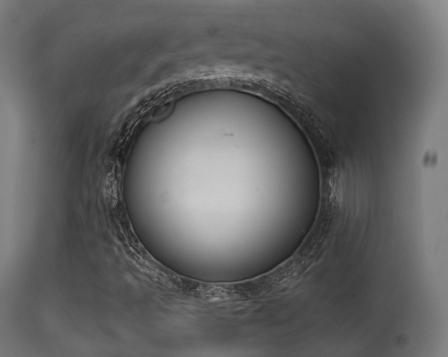 X0000113281493200909211027