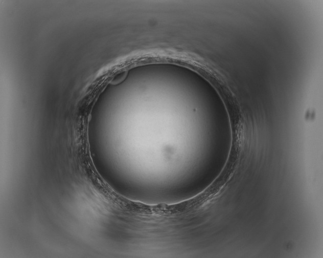 X0000113281494200909211027