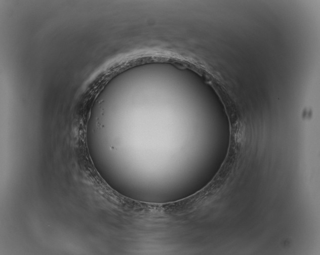 X0000113281495200909211027