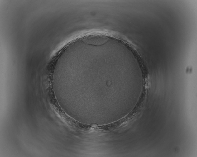 X0000113281496200909211027