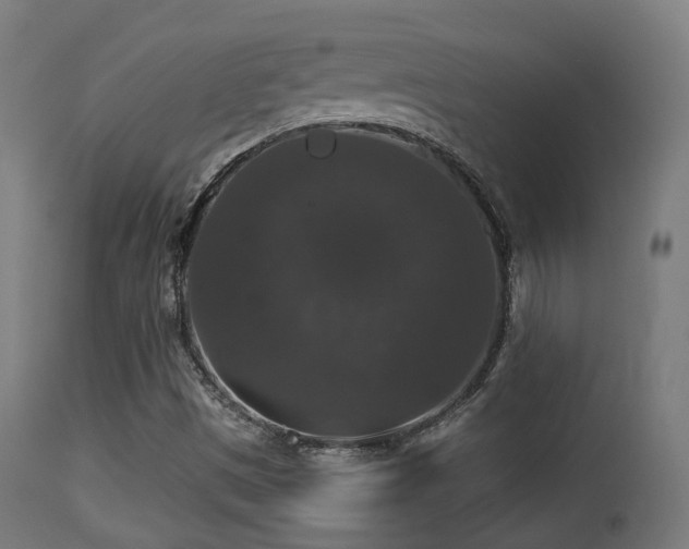 X0000113281497200909211027