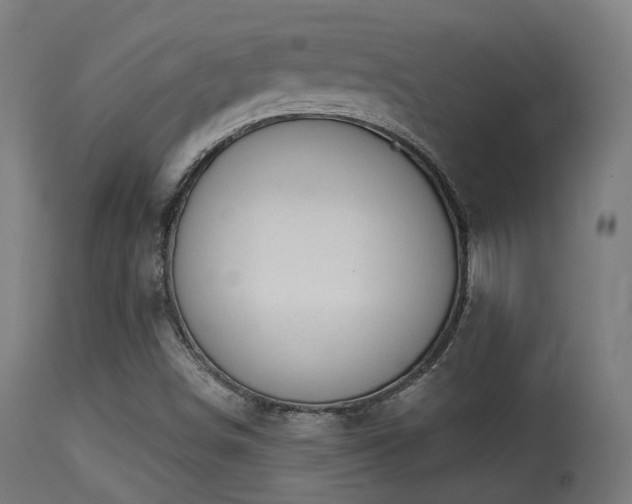 X0000113281498200909211027