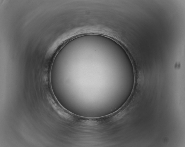 X0000113281499200909211027