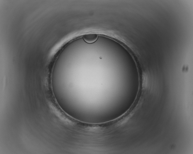 X0000113281502200909211027