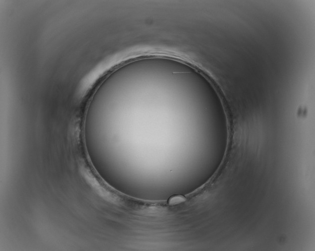 X0000113281503200909211027