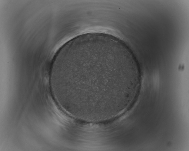 X0000113281505200909211027