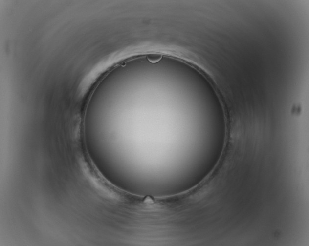 X0000113281507200909211027