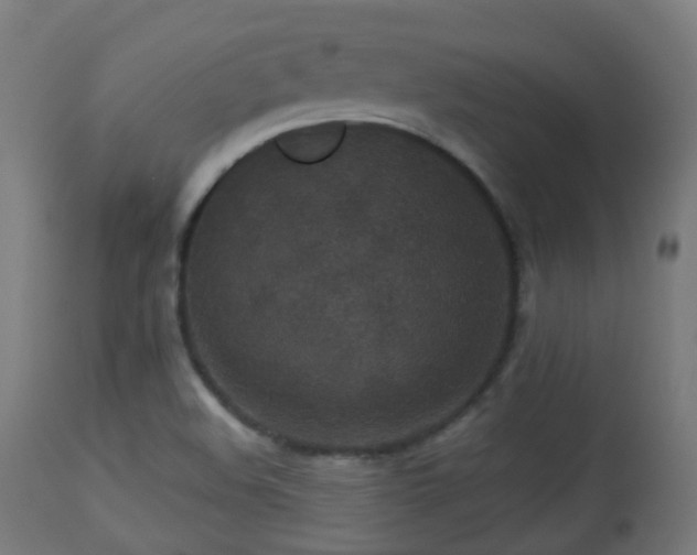 X0000113281508200909211027