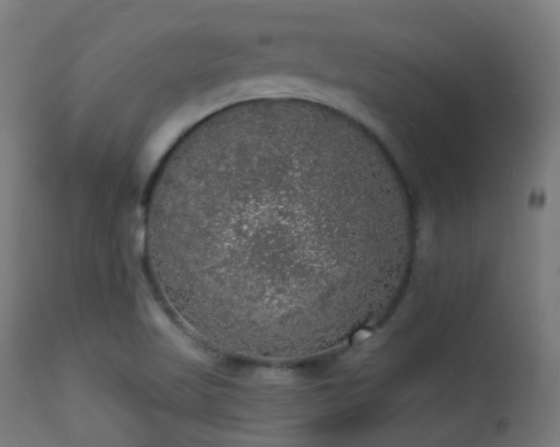 X0000113281509200909211027