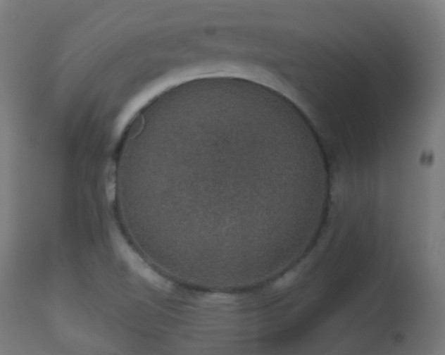 X0000113281510200909211027