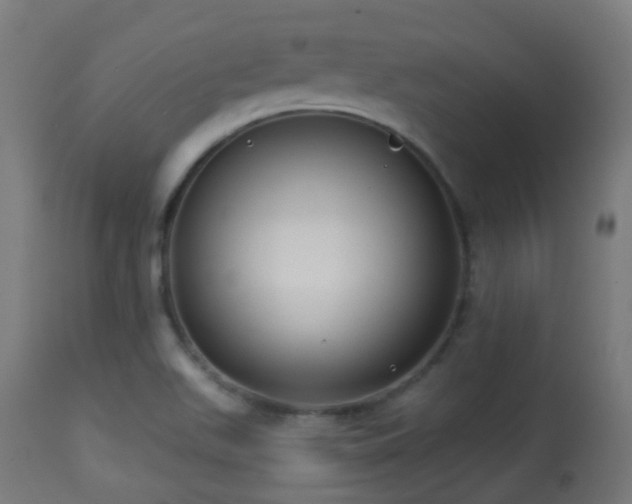 X0000113281511200909211027