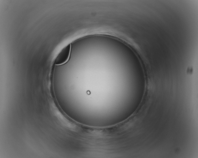 X0000113281512200909211027