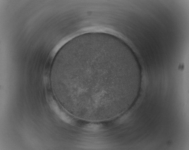 X0000113281513200909211027