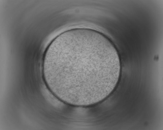 X0000113281514200909211027