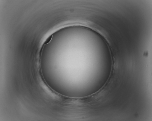 X0000113281516200909211027