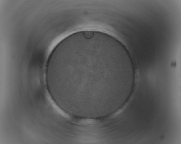 X0000113281517200909211027