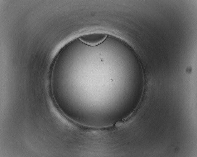 X0000113281518200909211027