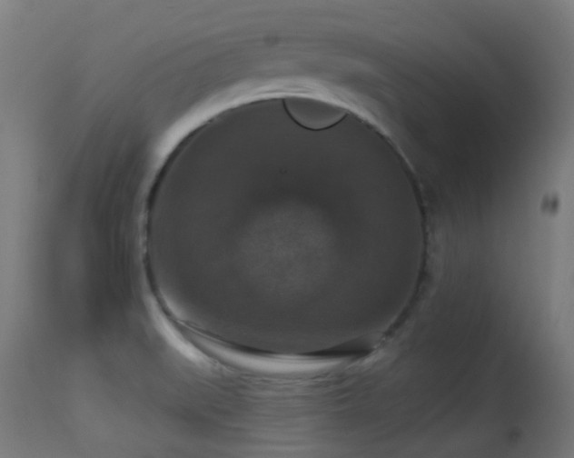 X0000113281519200909211027