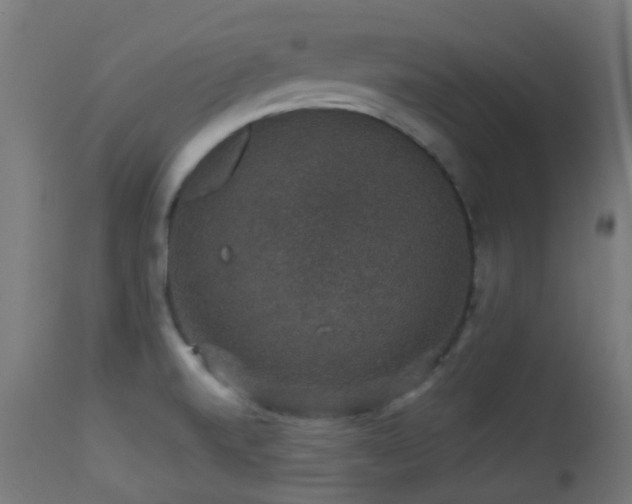 X0000113281520200909211027