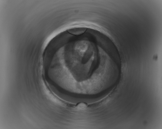 X0000113281522200909211027