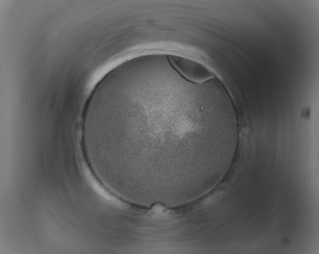 X0000113281523200909211027