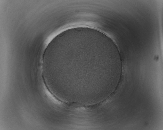 X0000113281524200909211027