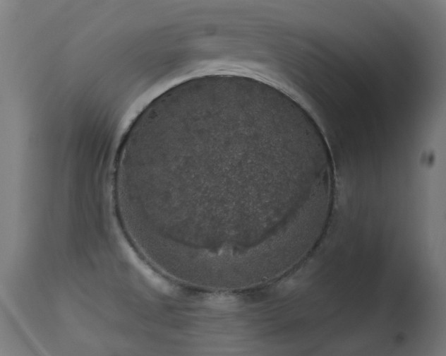 X0000113281525200909211027