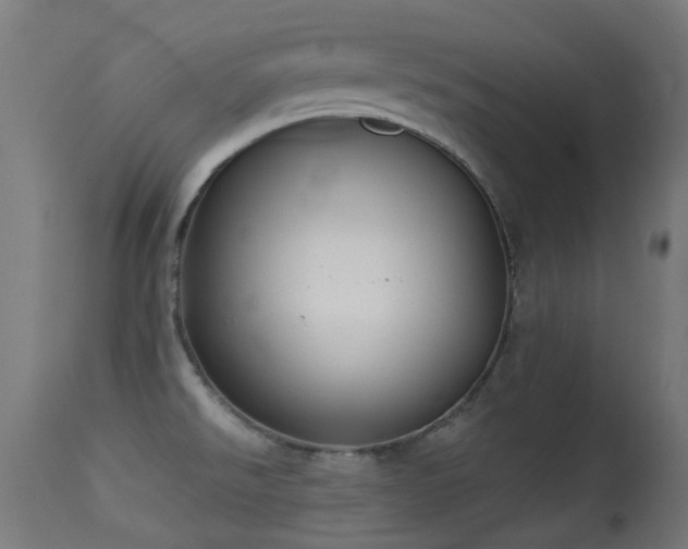 X0000113281526200909211027