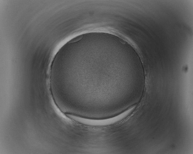 X0000113281528200909211027