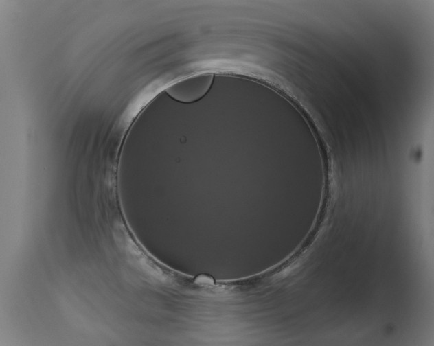 X0000113281529200909211027