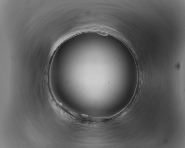 X0000113281530200909211027