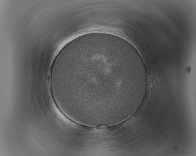 X0000113281531200909211027