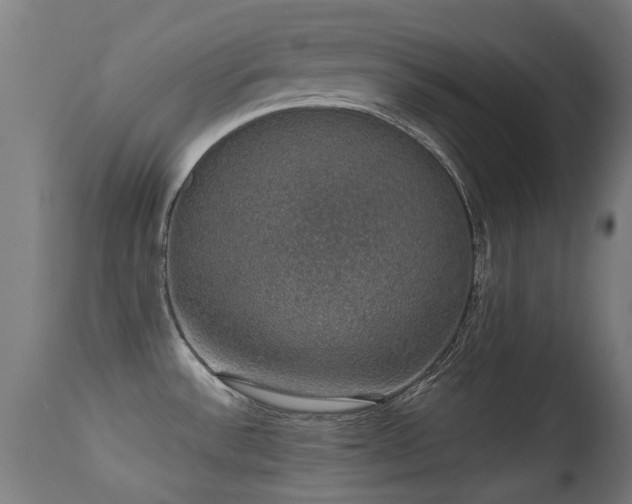 X0000113281532200909211027