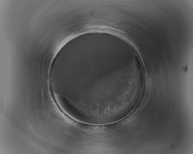 X0000113281533200909211027