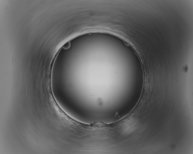 X0000113281534200909211027