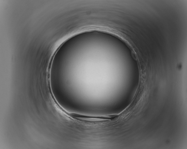 X0000113281535200909211027