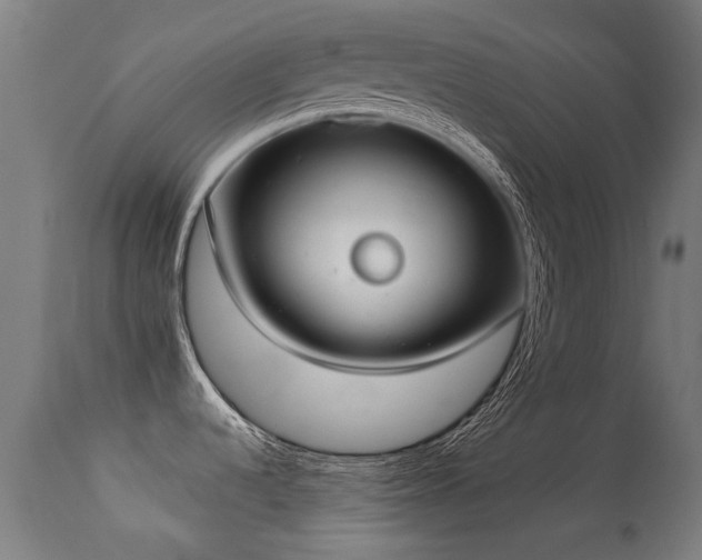 X0000113281536200909211028