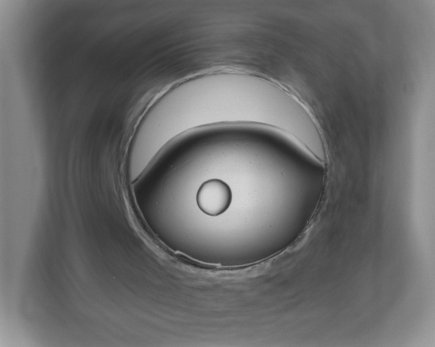 X0000113280001200909281001