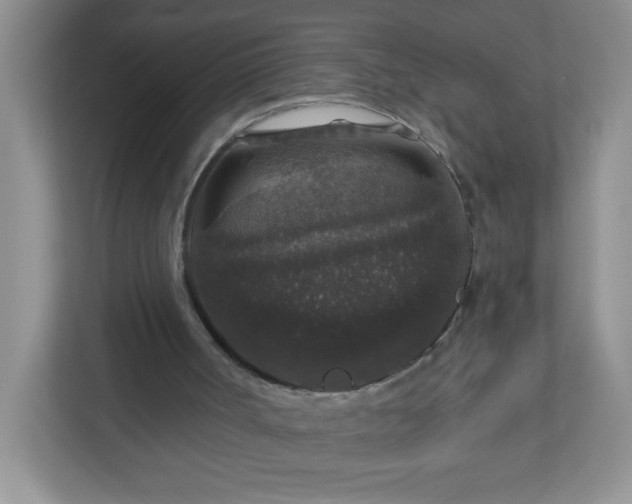 X0000113280002200909281001