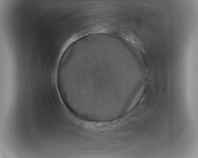 X0000113280003200909281001