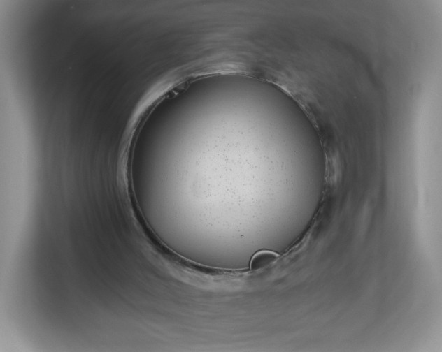 X0000113280004200909281001