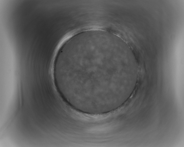 X0000113280006200909281001