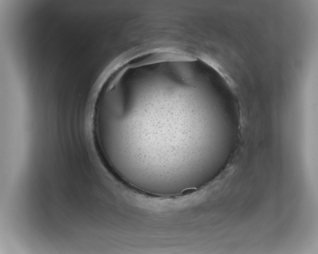 X0000113280007200909281001