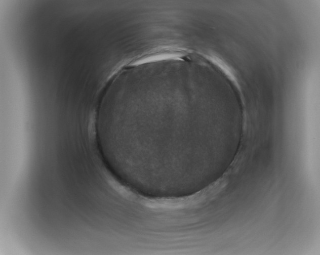 X0000113280009200909281001