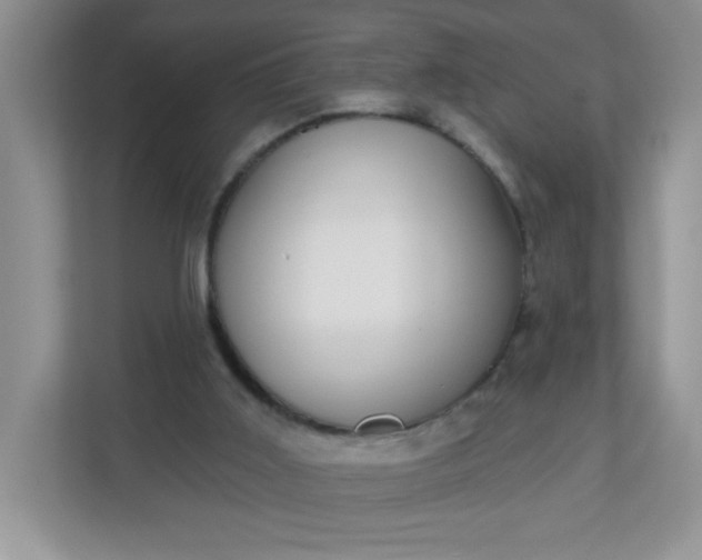 X0000113280011200909281001