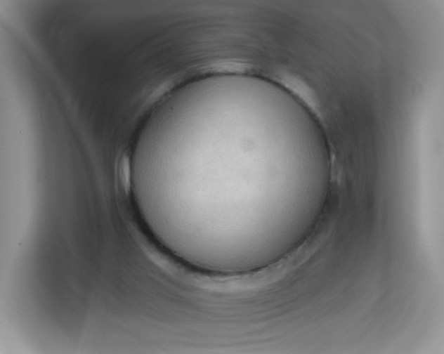 X0000113280013200909281001