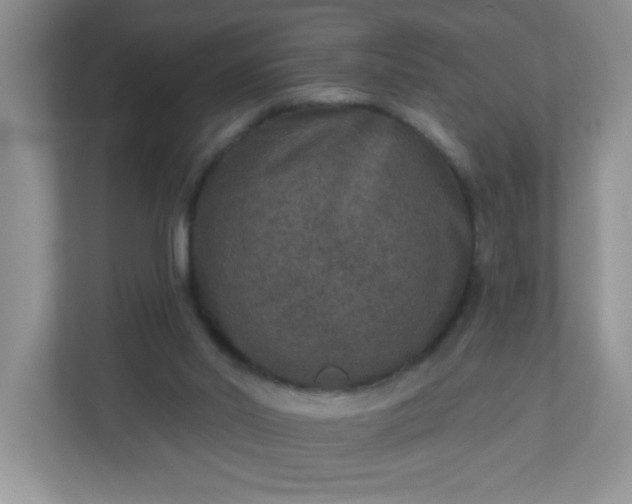 X0000113280014200909281001